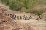 photo thumbnail #4