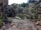 photo thumbnail #6