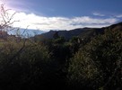 photo thumbnail #11