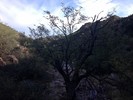 photo thumbnail #14