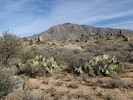 photo thumbnail #9