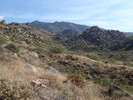 photo thumbnail #11