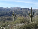 photo thumbnail #14