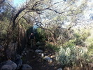 photo thumbnail #1