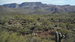 photo thumbnail #12