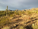 photo thumbnail #2