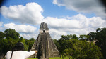 photo thumbnail #14