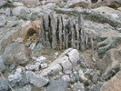 photo thumbnail #15