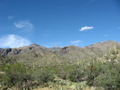 photo thumbnail #4