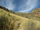 photo thumbnail #8