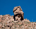 photo thumbnail #10