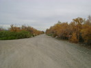 photo thumbnail #1