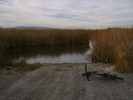 photo thumbnail #2
