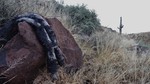 photo thumbnail #3