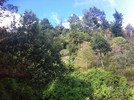 photo thumbnail #15