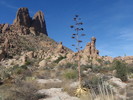 photo thumbnail #3