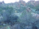 photo thumbnail #5