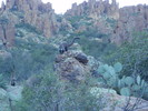 photo thumbnail #8