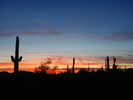 photo thumbnail #11