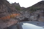 photo thumbnail #1