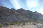 photo thumbnail #1