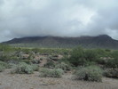 photo thumbnail #10