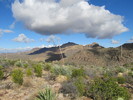photo thumbnail #10