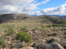 photo thumbnail #11