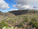 photo thumbnail #12