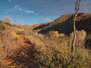 photo thumbnail #2