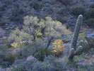 photo thumbnail #8