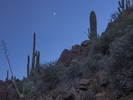 photo thumbnail #9