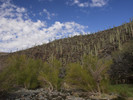 photo thumbnail #11