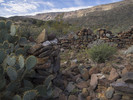 photo thumbnail #12