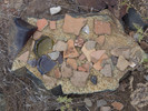 photo thumbnail #15