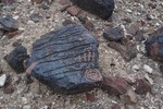 photo thumbnail #5