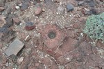 photo thumbnail #8