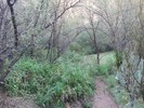 photo thumbnail #5