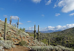 photo thumbnail #1