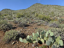 photo thumbnail #11