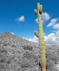 photo thumbnail #14
