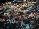 photo thumbnail #15