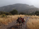 photo thumbnail #7