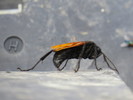 photo thumbnail #10
