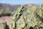 photo thumbnail #5