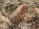 photo thumbnail #4