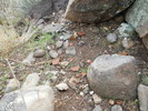photo thumbnail #15