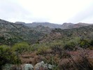 photo thumbnail #11