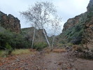 photo thumbnail #13