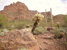photo thumbnail #1